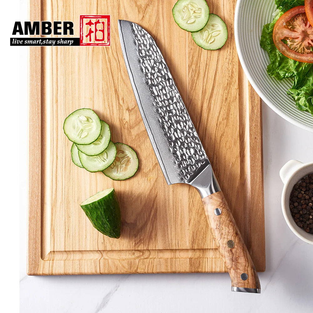 Eco-friendly Wood Handle Vg10 Damascus Steel Kitchen Knife Ultra Sharp Hammered Forged Santoku Chef Knife
