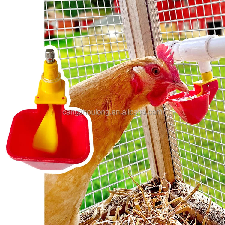 YZB NO PECK Float Valve Style Chick Drinker Cup Poultry Chicken Waterer Drinking Cups Chicken Water Cup