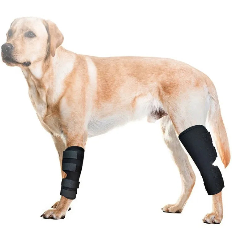 Pet Knee Protector Dog Leg Guard Dog Leg Sleeve for Injury Protection and Fixation Pet Product Joint Protection Sleeve.