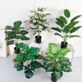 Paradise Palm Artificial Kwai Tree Indoor and Outdoor Home Ornamental Plastic Potted Plant Small to Large on Sale