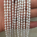 5-6 mm AAA High Quality Rice Shape Pearl Loose Wholesale Freshwater Pearl in Strand -37 cm