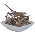 Da Ji Gen RADIX CIRSII JAPONICI Not Extract Dried Cirsium Japonicum Root Cuts for Sale