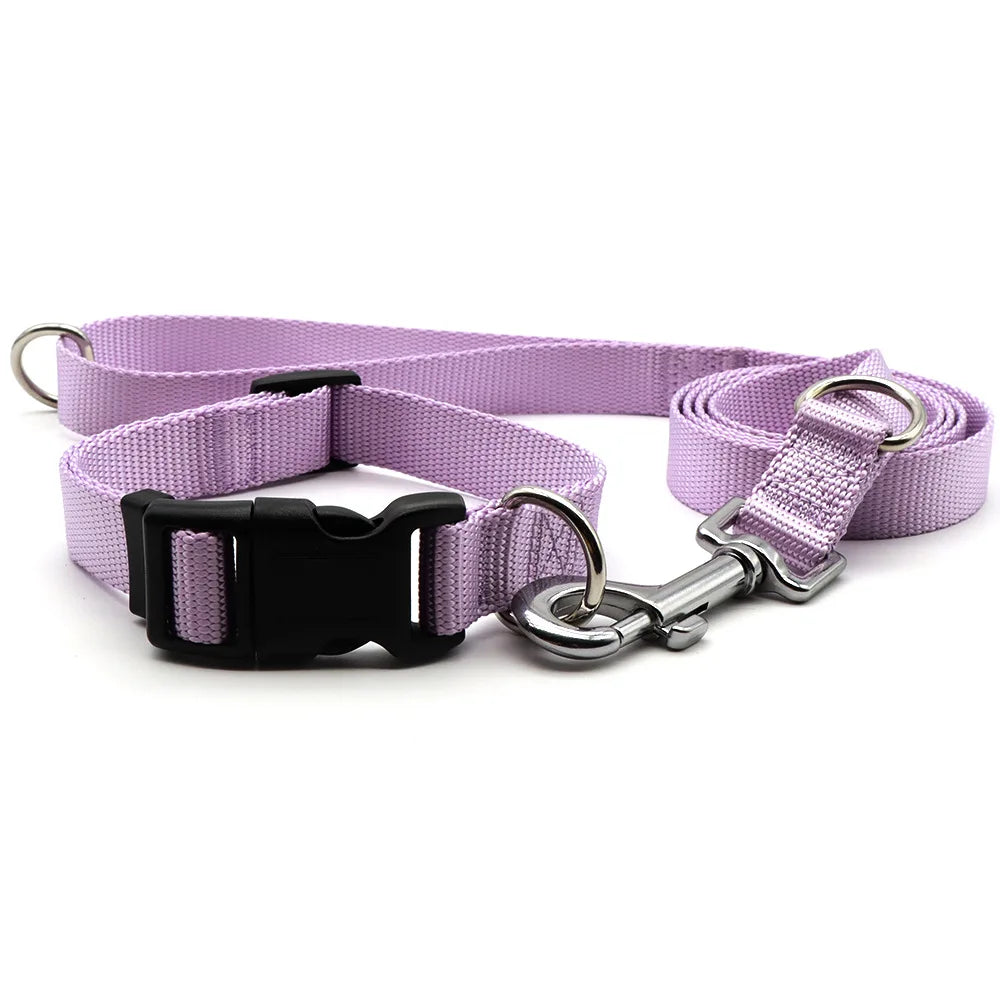 Wholesale Manufacturer Makaron Color Nylon Adjustable Pet Dog Leash Collar