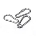 Stainless Steel 304 316 Karabiner Snap Fast Link Oval Carabiner with Nut