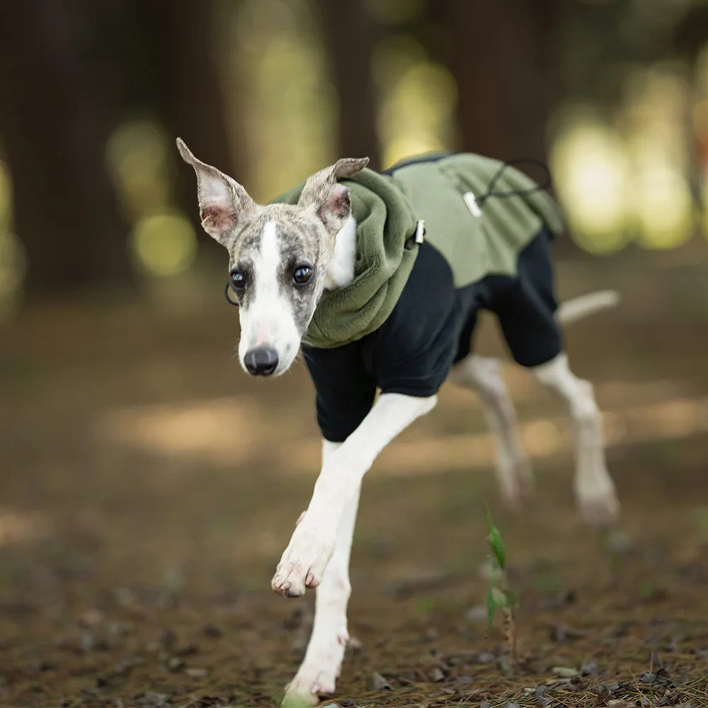 Custom Verified Supplier Luxury Brand Neutral Pet Clothes Customizable Dog Clothes Polartec Dog Fleece Coat