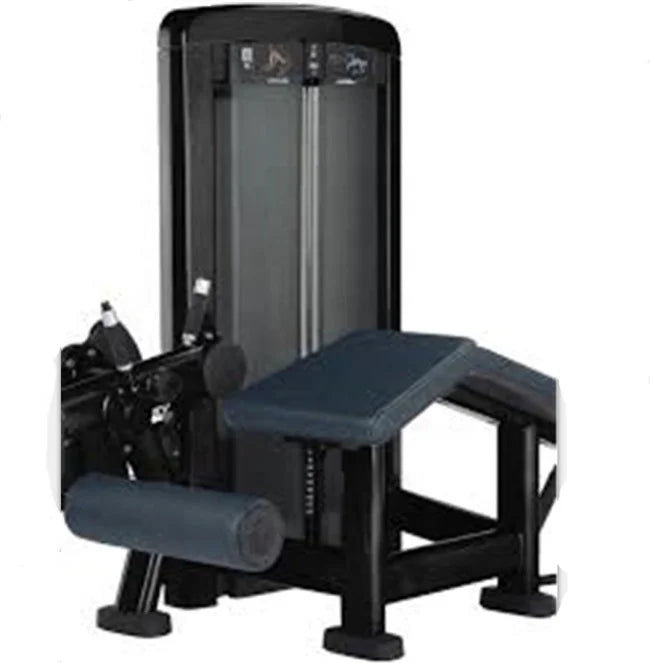 Xinrui XH-919 Steel Leg Curl Machine Seated Fitness Equipment for Sale Fitness Equipment