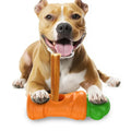 Juicepet Brand Eco-Friendly Plastic Dog Chew Toys Daily Use New Explosion Snack Fixer Molars Carrot Puzzle Chicken Flavor