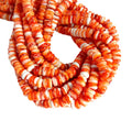 Natural Orange Spiny Oyster Rondelle Beads 6mm 16" Strand