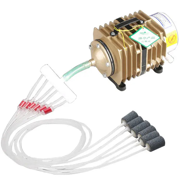 Aquarium for Fish Portable Pond Water Tank Aco 003 Dual Diaphragm Aquaculture Plastic Check Valves Mini 100 Air Pump