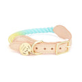 Custom Logo Dog Collar Set Weave Gradient Rainbow Pet Collars Leashes Braided Leather Hemp Dog Collar