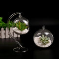 Creative European Style Transparent Table Vase Hook Modern Design Flower Vase Miniature Landscape Glass Vase for Home Decor