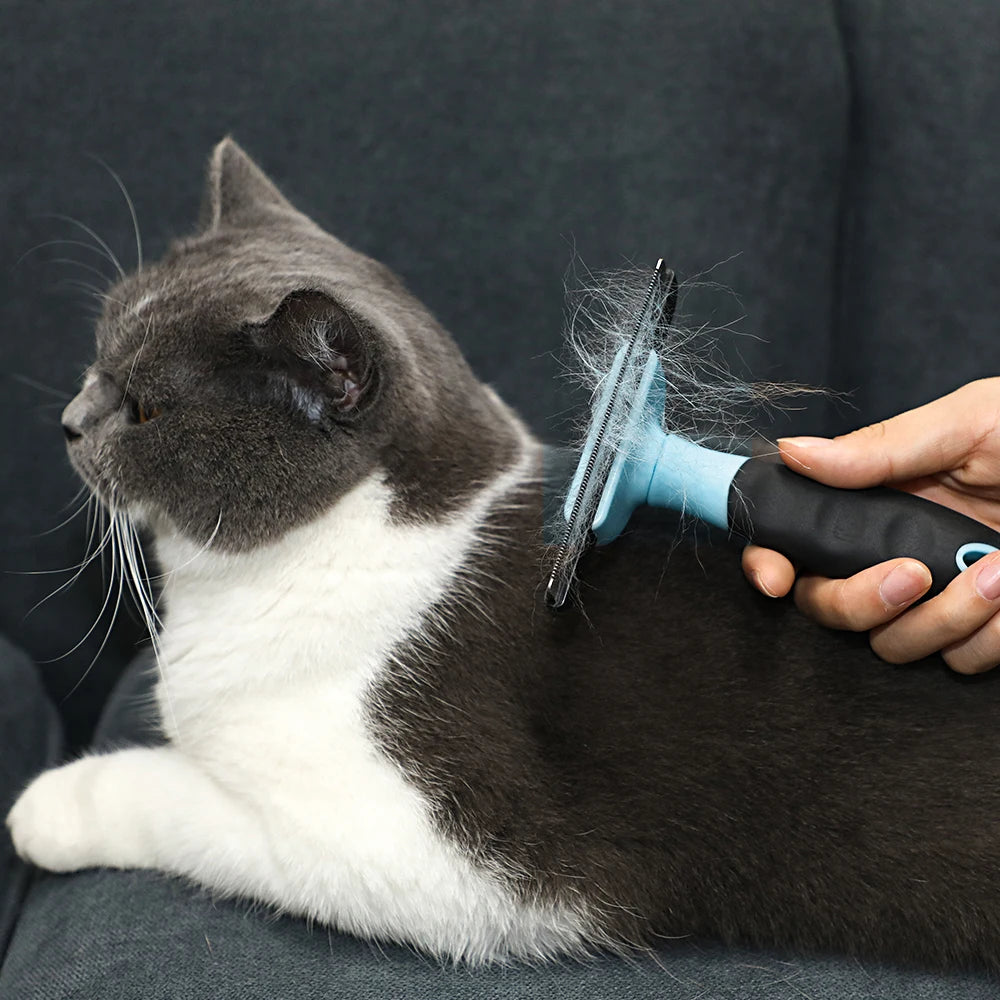 A Mazon Hot Seller Flea Brush Pet Removal Hair Comb for Dog and Cats Pet Cleaning Tools