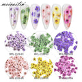 New 6 Colors Nail Dried Flowers for Nails Nail Accessories MegaBDM