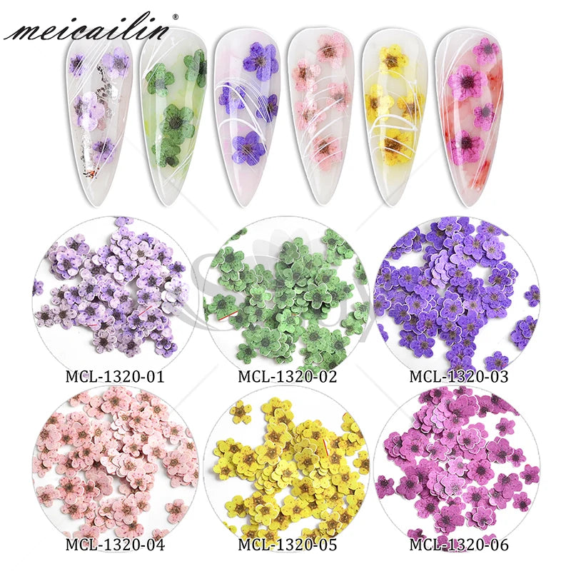 New 6 Colors Nail Dried Flowers for Nails Nail Accessories MegaBDM