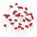 Y-E007 Dry Rose Flower With Stem Materials DIY Plant Flower Specimens Real Natural Dried Pressed Flower for Decor