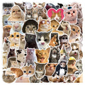 Newly 50PCS Realistic Kitty Funny Cat Meme Sticker