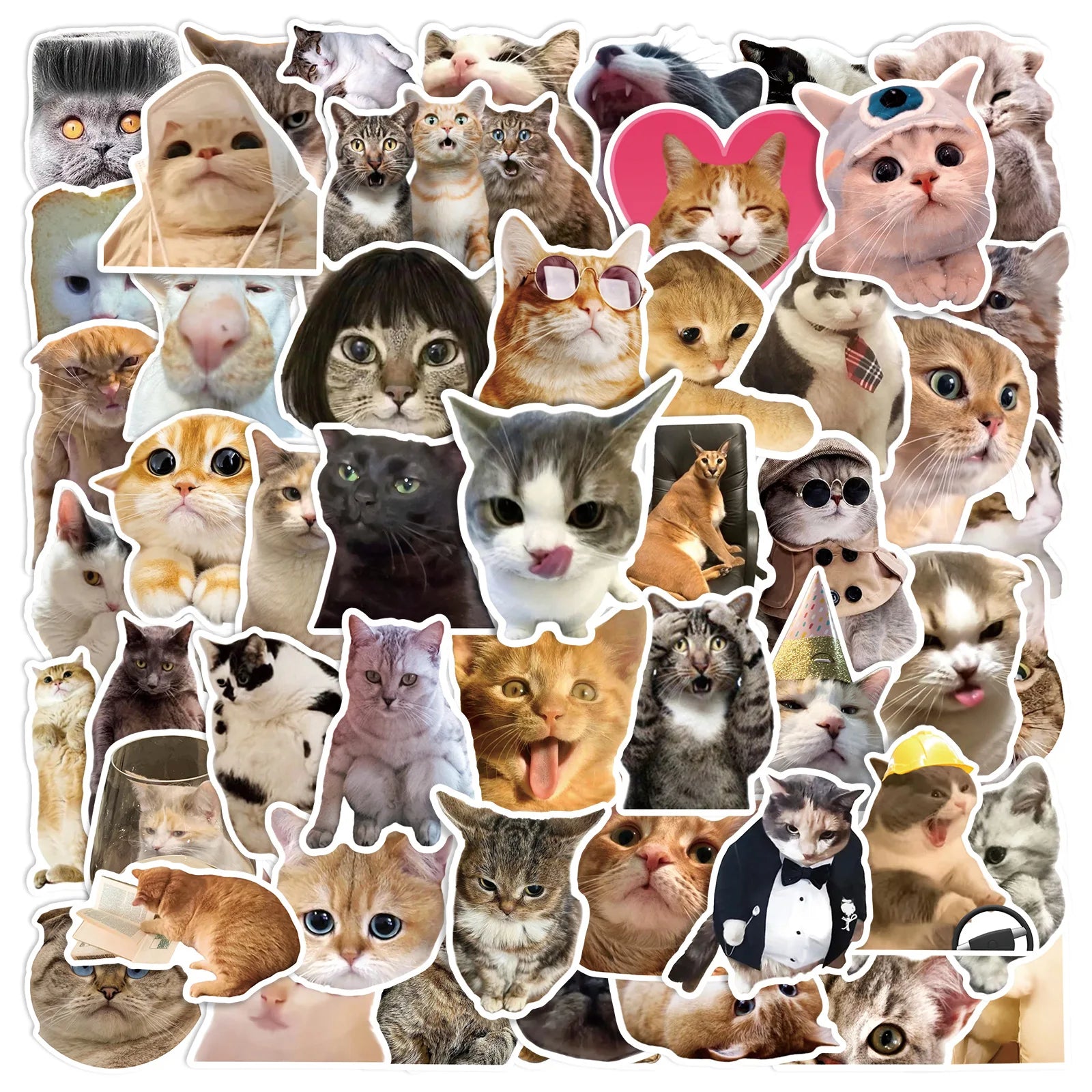 Newly 50PCS Realistic Kitty Funny Cat Meme Sticker