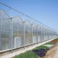 Large Anti-condensation Dust-proof Energy-saving High-efficiency Temperature Control Multi-span Agricultural PC Sheet Greenhouse