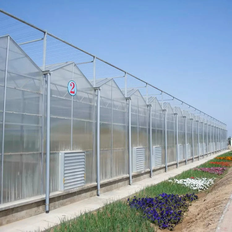 Large Anti-condensation Dust-proof Energy-saving High-efficiency Temperature Control Multi-span Agricultural PC Sheet Greenhouse