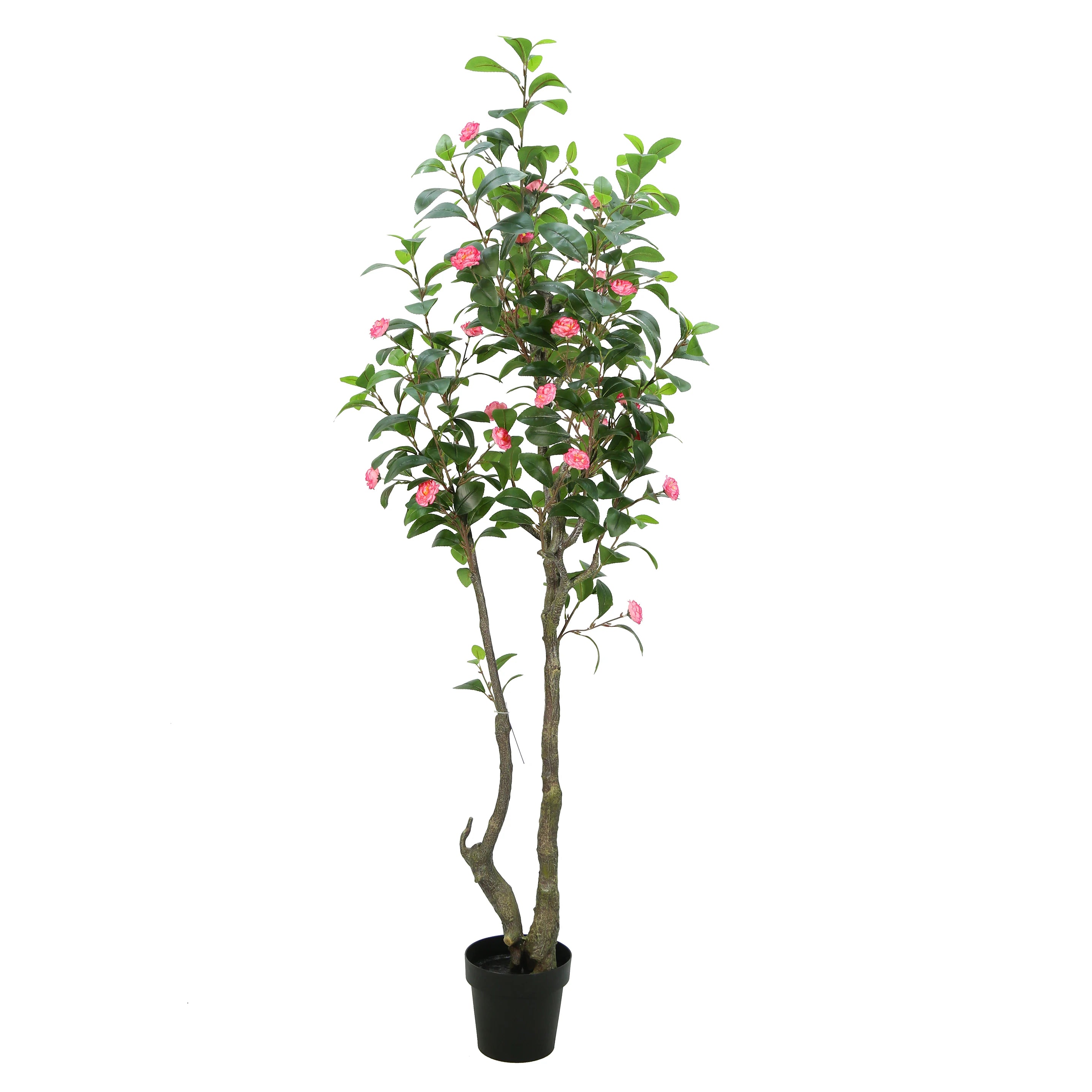 Large Flowering Faux Plant Natural Pink White Red 180cm 6ft Artificial Camellia Tree in Black Plastic Pot for Office Room Decor