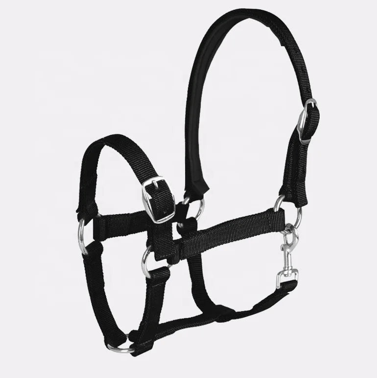 Custom Anti-Rubbing Waffle Cushion Pad Nylon Horse Halters With Padd Cushion