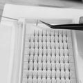 Handmade Unique Wispy Lash Extensions Professional Premade Korean PBT Eyelash Supplies Volume 3D 5D 7D 9D 12mm 12 Rows 0.05 0.07
