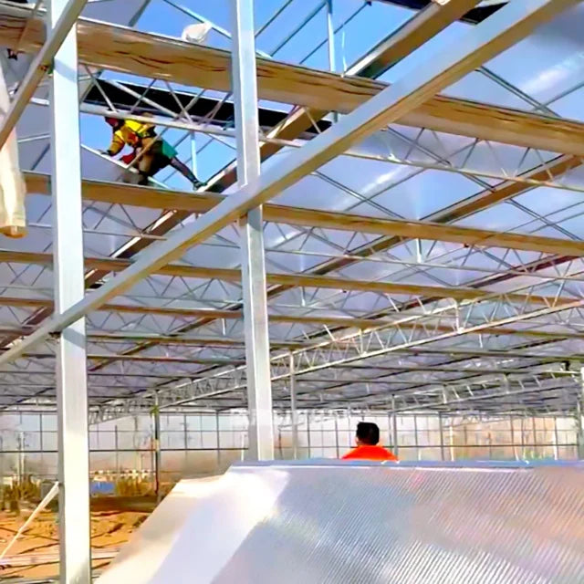 Transparente Celular Laminas De 6mm 10mm 2-wall Policarbonato Alevolar Sheets Precio 3mm - 20mm Greenhouse Sheet