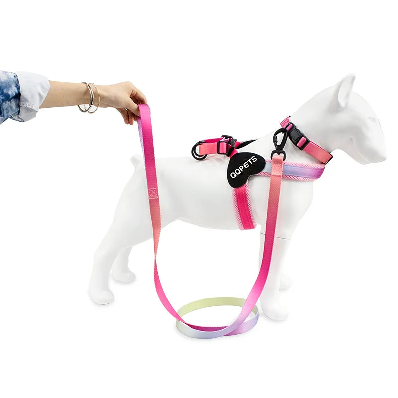2026 Custom Design Pink Gradient Dog Harness Set Padded Eco-Friendly Polyester/Nylon Mesh Collar Logo Sublimation Leash Ribbons