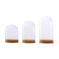 Wholesale Mini Glass Dome Jar Display With Cork Base for Home Decoration