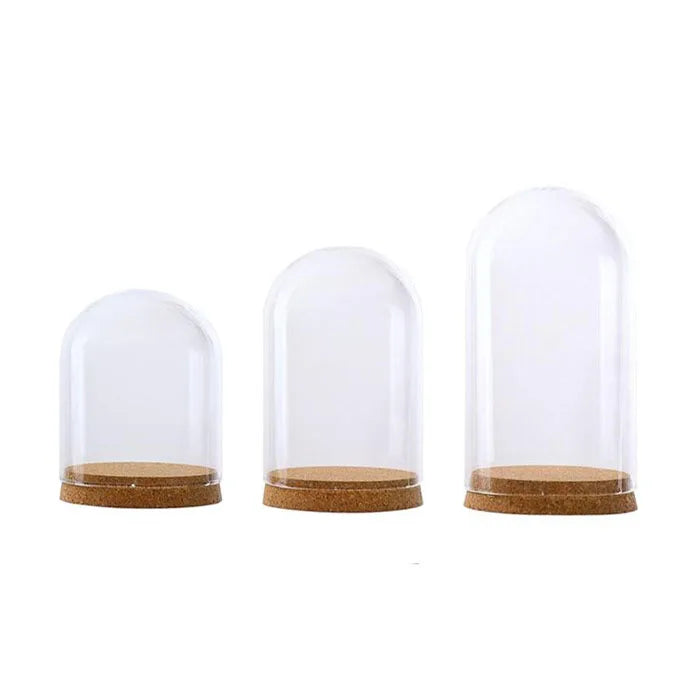 Wholesale Mini Glass Dome Jar Display With Cork Base for Home Decoration