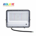 Fast Delivery Dropshiping 50w Light Remote Control Portable Outdoor Garden  Spotlight Rgb Flood Lighting