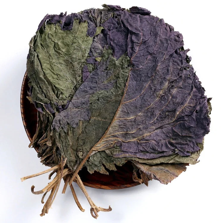 Zi Su Ye High Quality Natural Chinese Herb Perilla Folium Dry Purple Shiso Leaf Dried Perilla Leaves