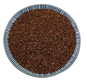 Tu Si Zi Chinese Wild Collected Cuscuta Seed Golden Dodder for Sale