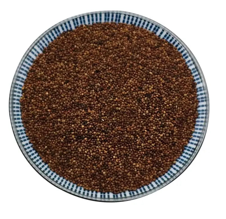 Tu Si Zi Chinese Wild Collected Cuscuta Seed Golden Dodder for Sale