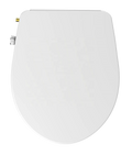 Bathroom Accessories Cold Water Bidet Toilet Seat Cover Dual Retractable Nozzles Soft Closing Women's Wash Contemporary Design