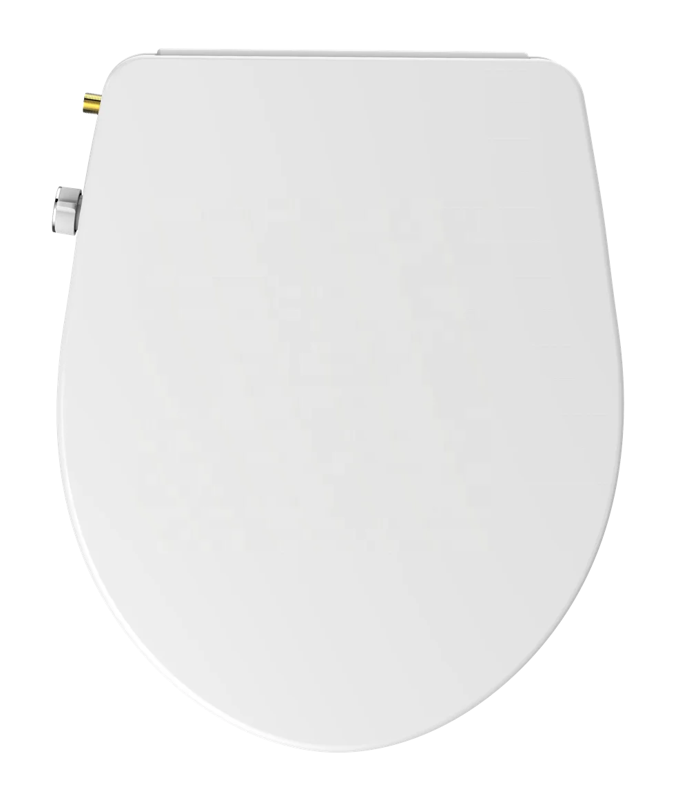 Bathroom Accessories Cold Water Bidet Toilet Seat Cover Dual Retractable Nozzles Soft Closing Women's Wash Contemporary Design