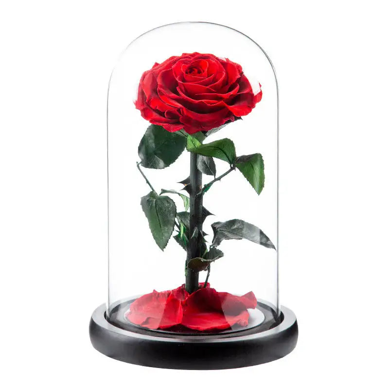 AYOYO OEM Rose Wholesale Decorative Flower Glass Cover Finished Gift Box 2025 Mother'S Day