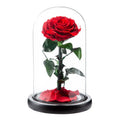 AYOYO OEM Rose Wholesale Decorative Flower Glass Cover Finished Gift Box 2025 Mother'S Day