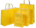 Paper Gift Bags Brown Kraft Paper Bags With Handles for Small Business Shopping Birthday Wedding Party