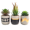 LLHovzz Life Modern Minimalist 3 Pack Ceramic Glazed Finish Succulent Plant Flower Pot for Home Decor