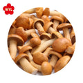 OEM/ODM Best Quality of IQF Mushroom Frozen Nameko for Wholesale and Retail