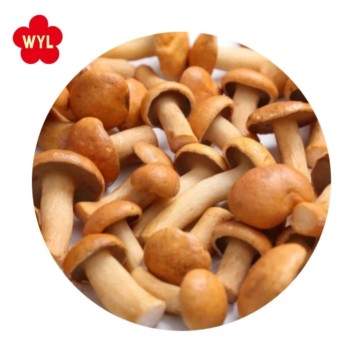 OEM/ODM Best Quality of IQF Mushroom Frozen Nameko for Wholesale and Retail
