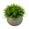 Mini Simulated Plant Bonsai Interior Ornament Decoration Flower Living Room Entrance Pulp Pot Fake Flower Green Plant Pendulum MegaBDM