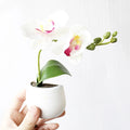 HOT Magnetic Mini Ceramic Vase Refrigerator Magnets Sticker Fridge Whiteboard Magnets for Home Office Refrigerator Decoration