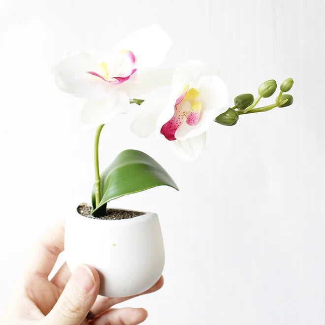 HOT Magnetic Mini Ceramic Vase Refrigerator Magnets Sticker Fridge Whiteboard Magnets for Home Office Refrigerator Decoration