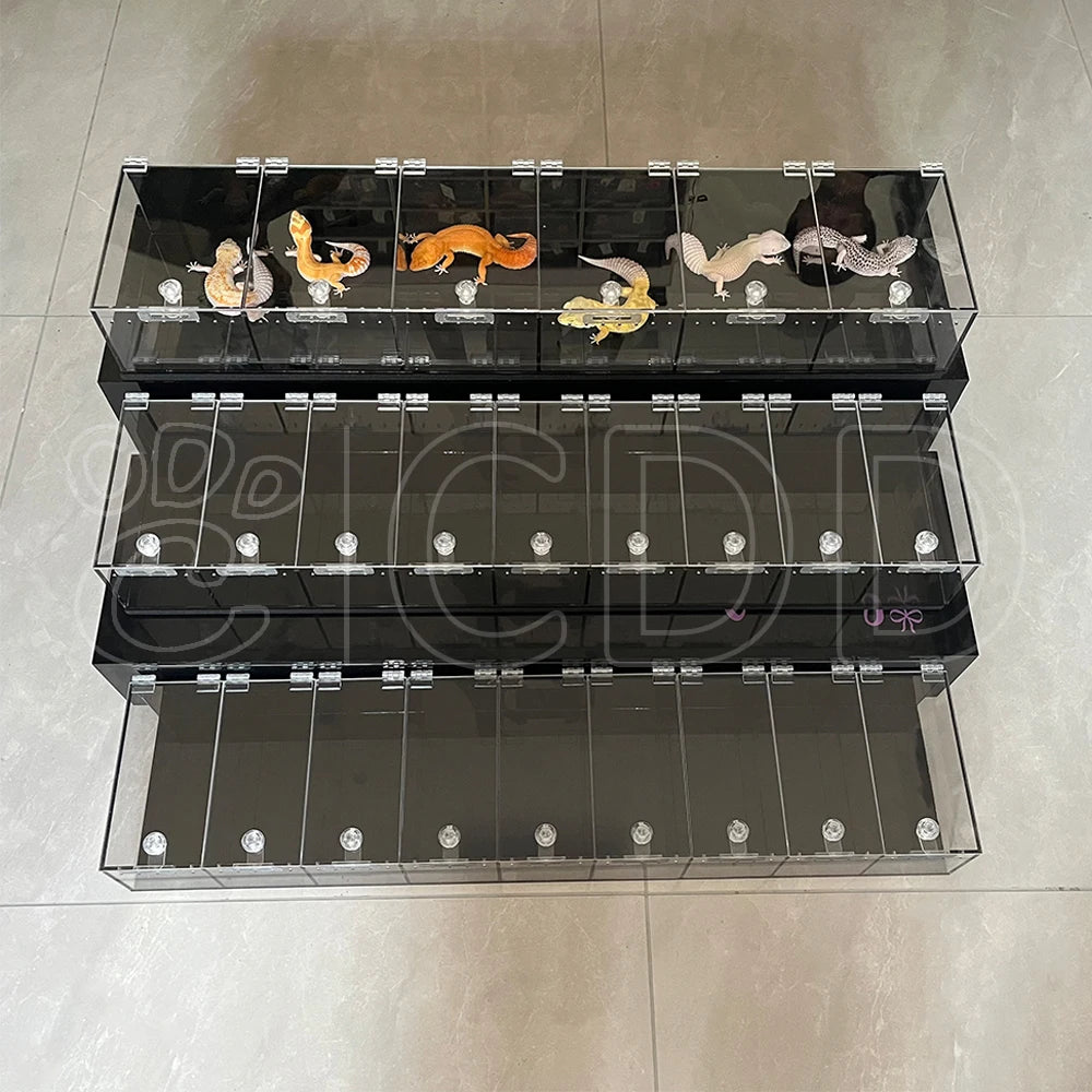 Customizable PVC/Acrylic Display Case for Reptiles & Amphibians Reptile Expo Use Clear/Black Options 80x15x10cm Size