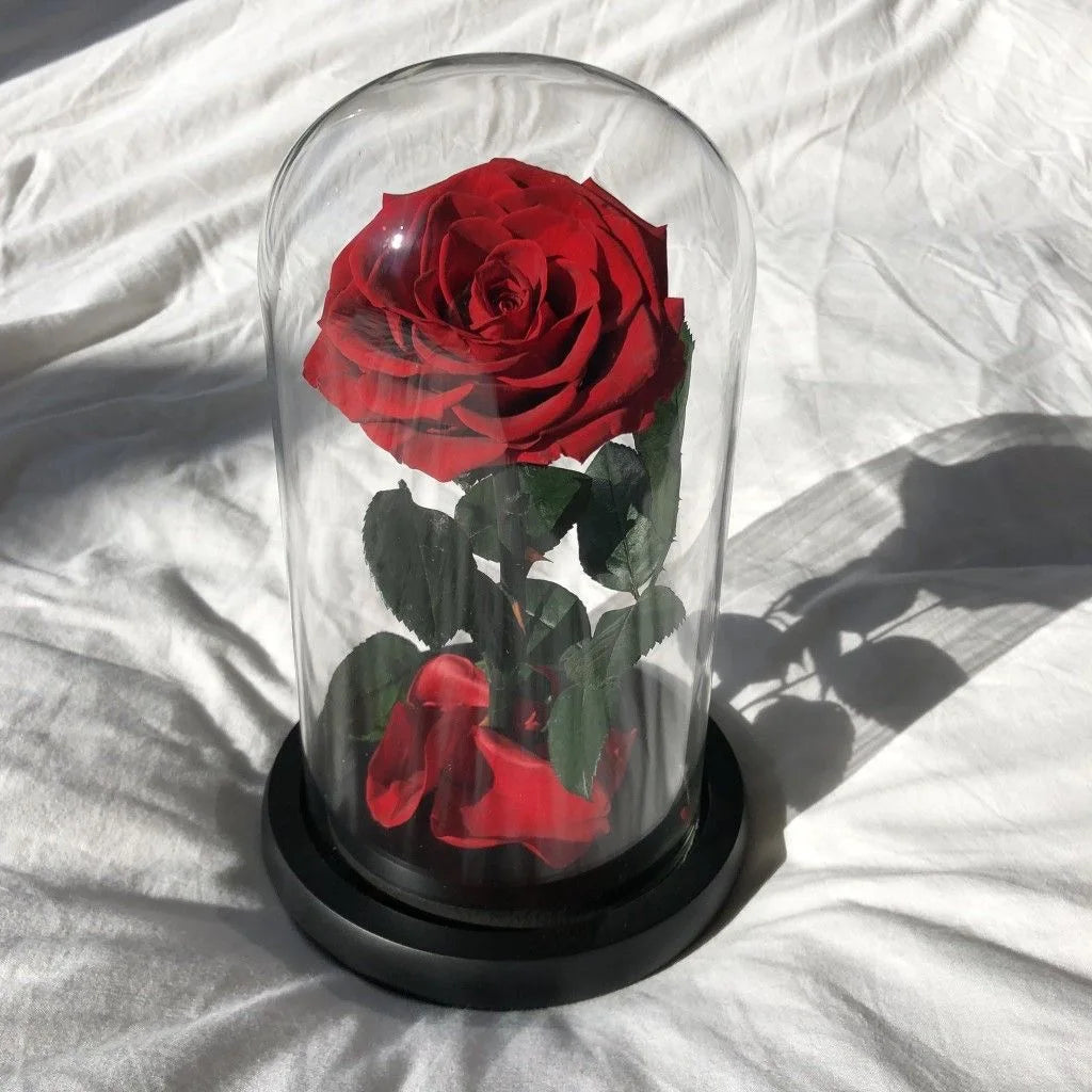 Wholesale Preserved Real Rose in Glass Dome with Led Light Small Glass 9*20cm for Valentine's Day Gift Wedding Decor