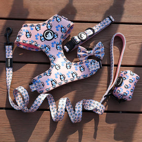 Personalized Cheap Adjustable Dog Harness Set Pet Collars 1