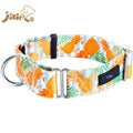 Wide Durable Martingale Training Collars for Dogs and Puppy