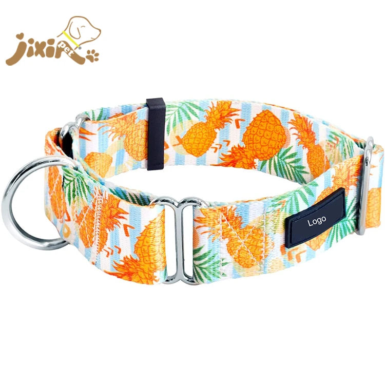 Wide Durable Martingale Training Collars for Dogs and Puppy